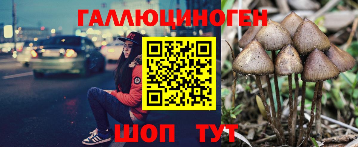Псилоцибиновые грибы GOLDEN TEACHER Краснознаменск