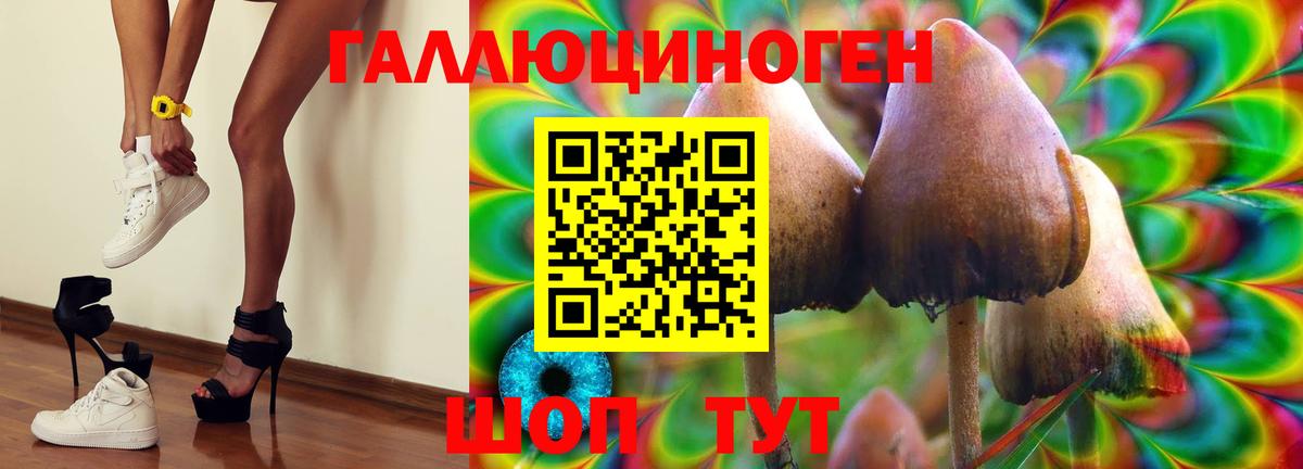 даркнет сайт  Галлюциногенные грибы ЛСД  Вход с VPN  Краснознаменск 